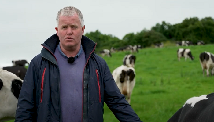 Water quality actions in motion in Limerick