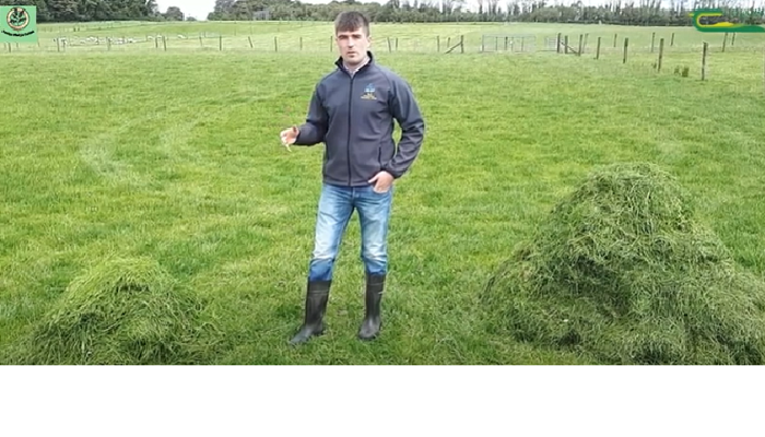 Fás agus Bainisiú féir - Grass growth and measurement