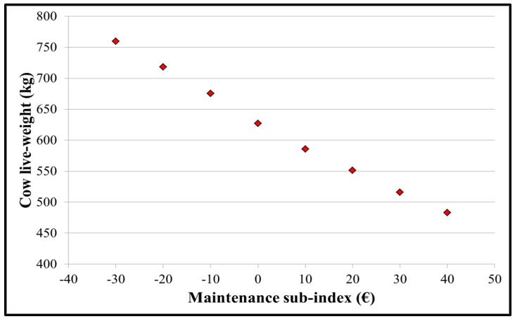 Mean cow-liveweight across different maintenance subindex values, mean cow live-weight decreases with increasing maintenance subindex value