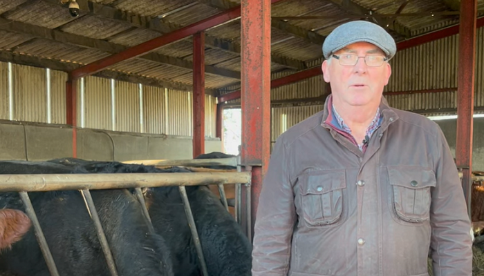 Preparing for a successful calving season – Michael Biggins’ approach