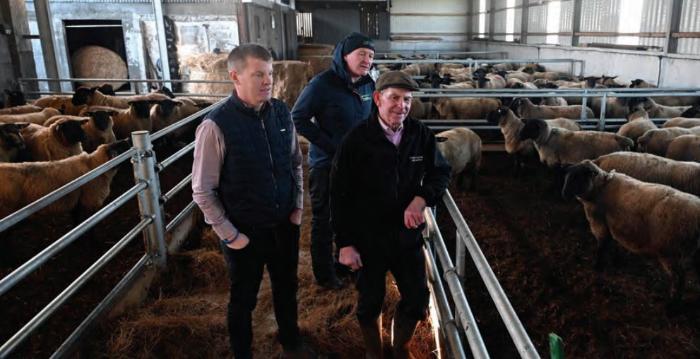 Fragmented farm? That shouldn’t prevent you managing grass for sheep