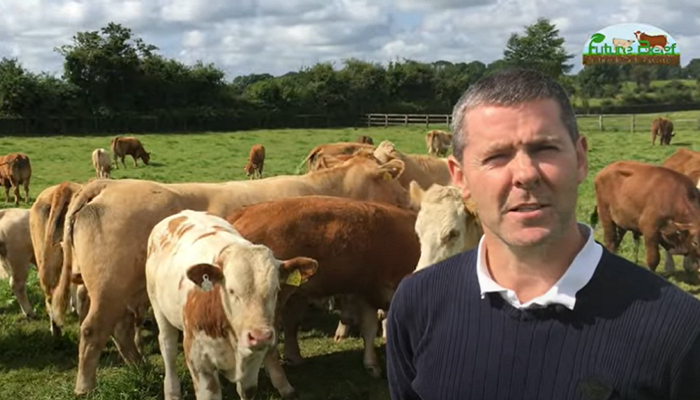 Watch: Putting grass ‘front and centre’ in Co. Meath