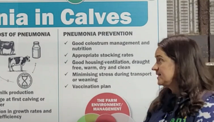 Pneumonia – minimising the risk