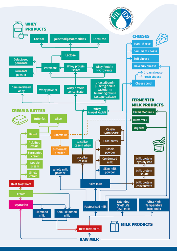 A graphic showing the products that can be produced from raw milk
