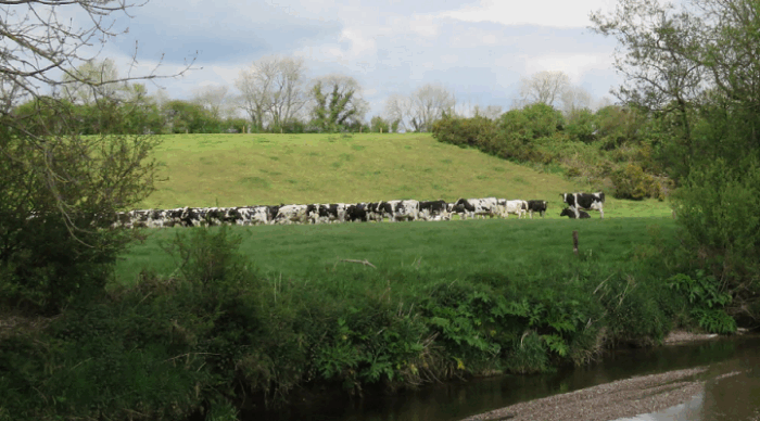 Date set for National Water Quality Conference