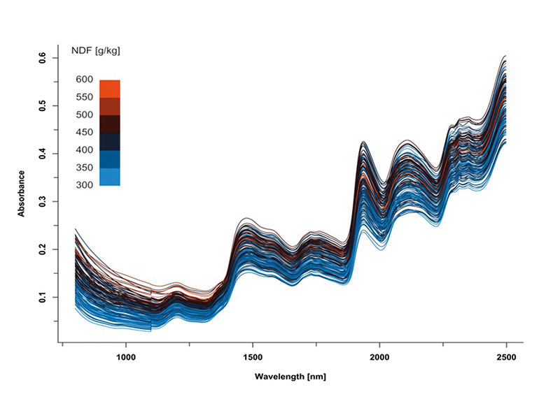 Chart showing NIR spectra of calibration samples