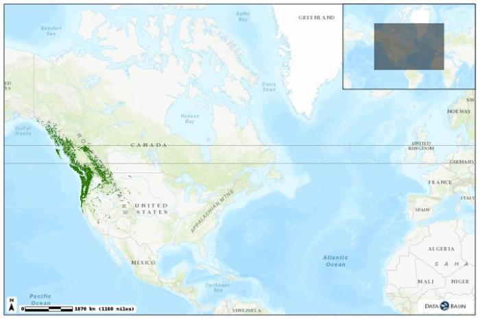 Natural distribution of western hemlock in the Pacific Northwest region in North America