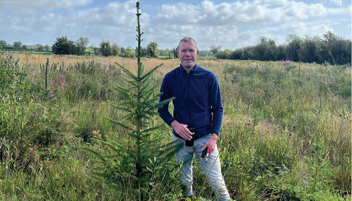 Reforestation - how to get it right