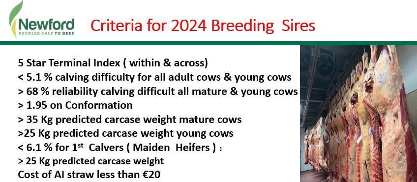 Criteria for 2024 breeding sires