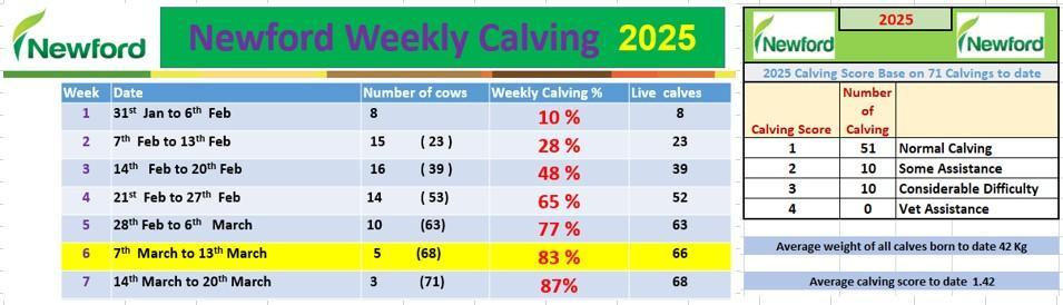 Calving progress 2025