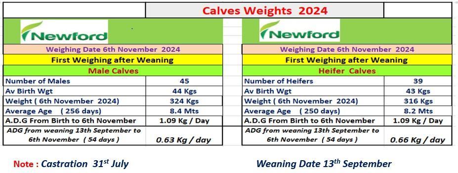 Calf weights 2024