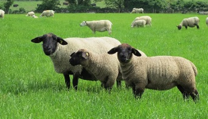 Time to start thinking about weaning