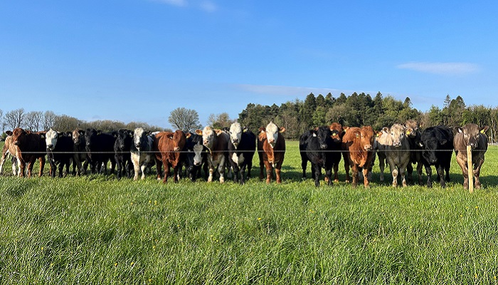 Diary date: Major open day at Newford