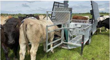 Greenfeed machine