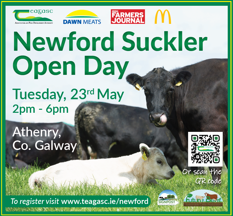 Graphic for Newford open day 2023