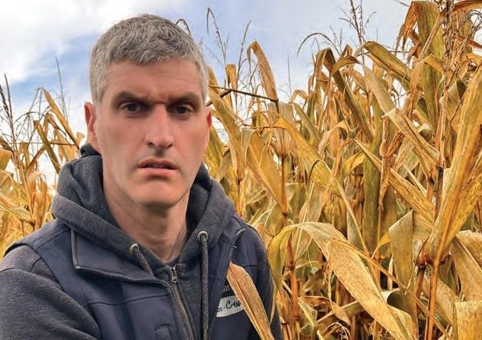 Mutual benefits - Cork tillage and dairy farmers work together
