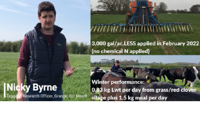 Grass10 Newsletter - 26th April 2022