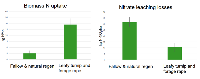 Bar charts showing Biomass N uptake is higher in leafy turnip and forage rape than fallow and natural regen, and nitrate leaching losses are lower in leafy turnip and forage rape than fallow and natural regen