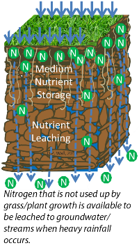 Nitrogen that is not used