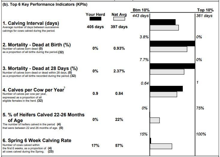 Calving performance report 2024