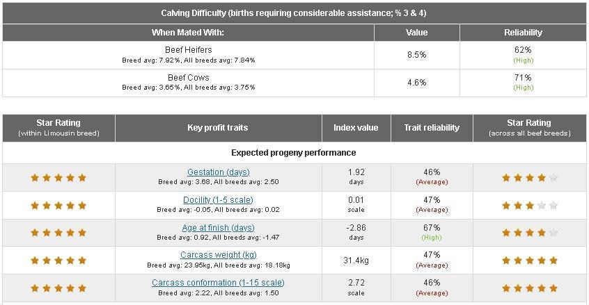 Eurostar indexes for stock bull