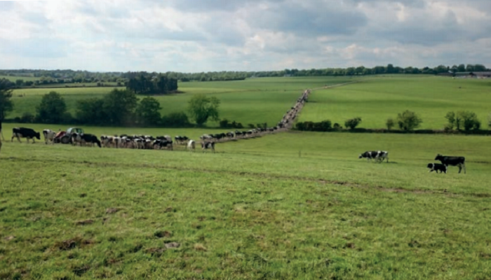 Ireland to host European Dairy Farmers Congress in June