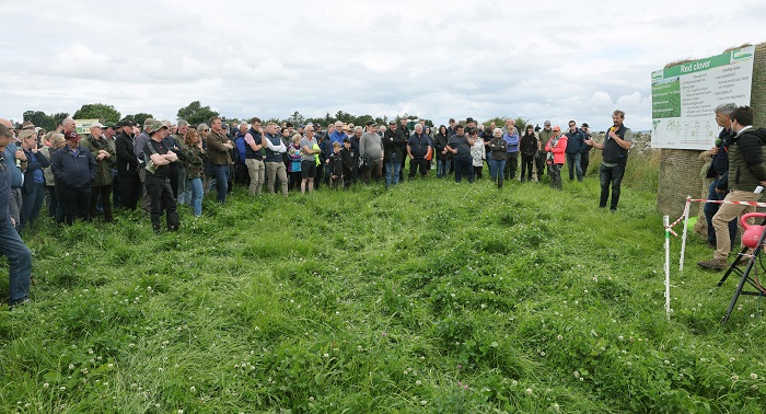 Oliver explaining the benefits of clover on his farm