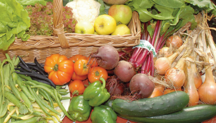 Horticultural input price inflation continues in 2023