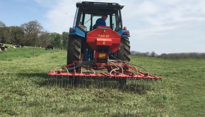 Managing Oversown Clover