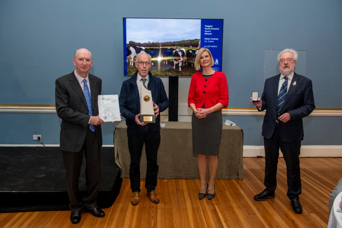 Winner of 2021 RDS Teagasc Farm Forestry Award announced