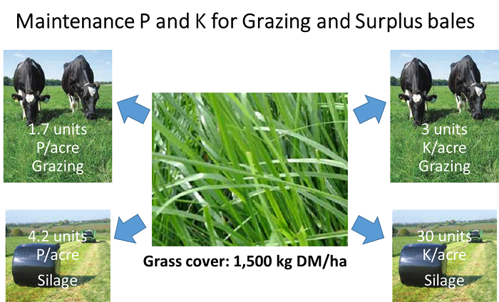 Infographic showing P and K offtakes