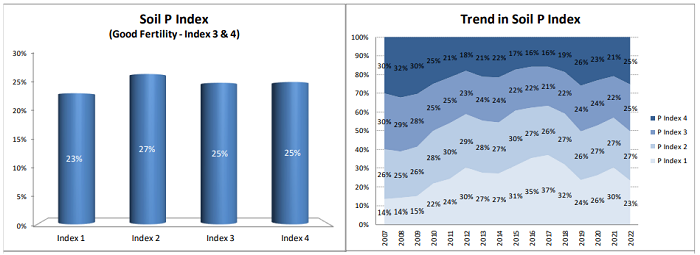 Graphic showing overall P index