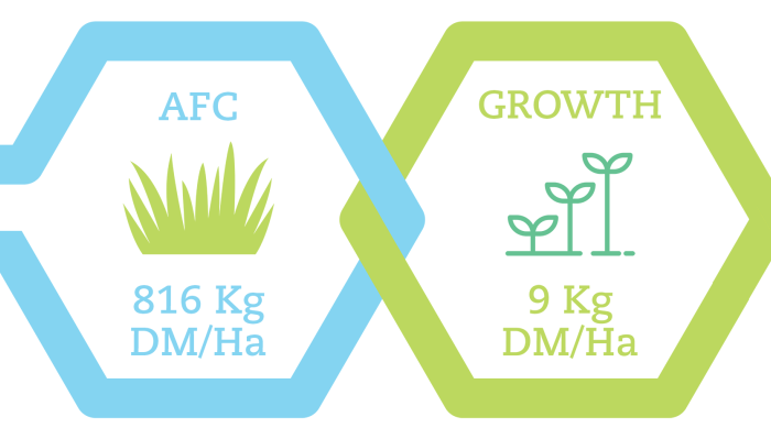 Grass 10 Newsletter March 1