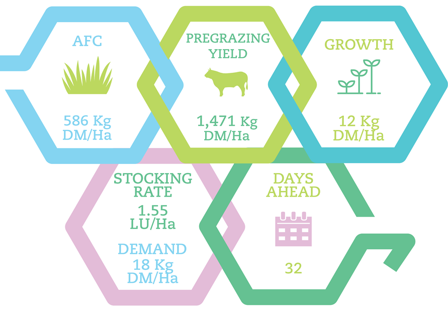 PBI Drystock Figures Nov 15 Details in text below