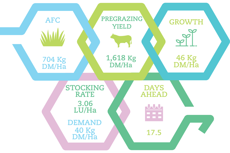 PBI Drystock figures July 5