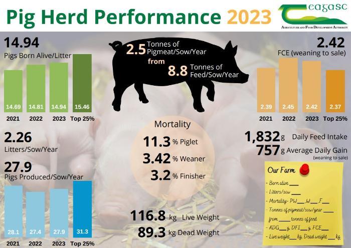 A summary of the National Pig Herd Performance Report 2023