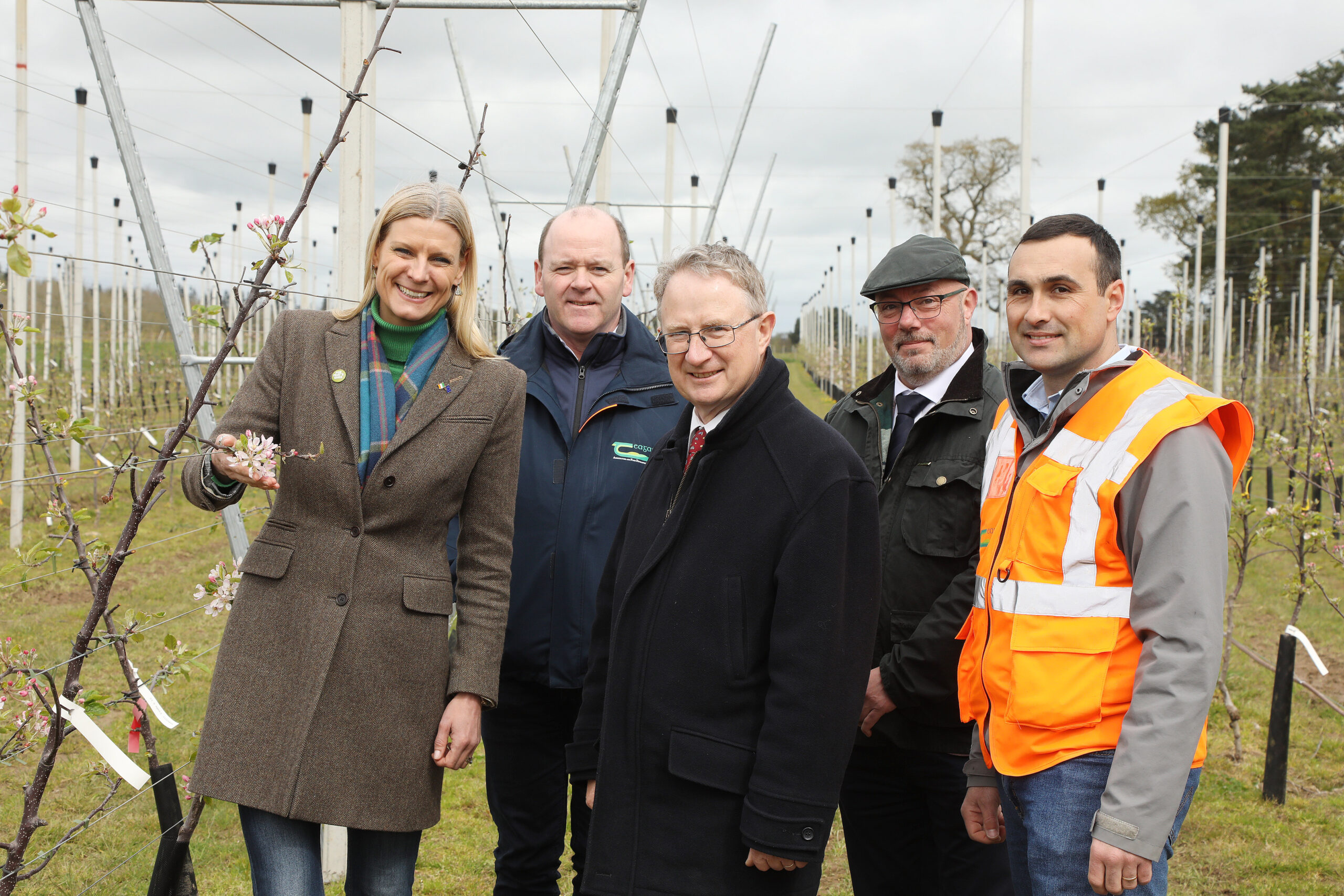 Apple Research Update: The way forward for increased Irish Apple Production
