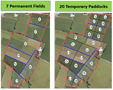 creating paddocks, body