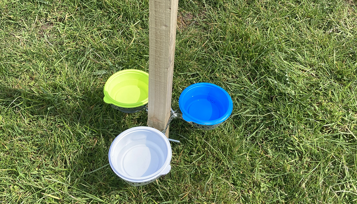 Pan trapping to catch insects