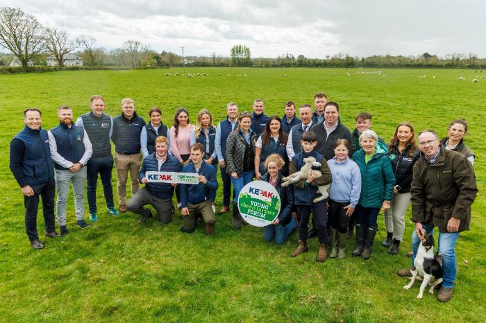 Helping shape the future of Irish sheep farming at Mountbellew Agricultural College