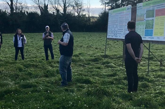 Pat Collins speaking at his DairyBeef 500 farm walk