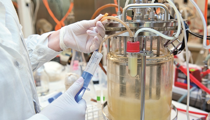 Paving the whey - transforming dairy waste