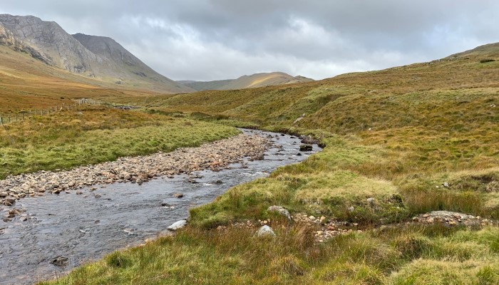 Water Quality and the Freshwater Pearl Mussel
