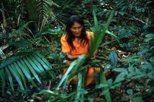 Peruvian forest - making a basket
