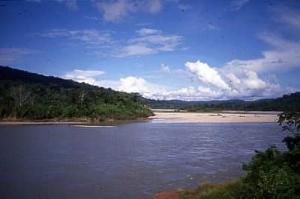 Peruvian forest - view over the forest