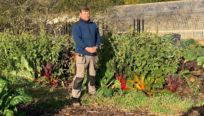 Aiming for success in market gardening