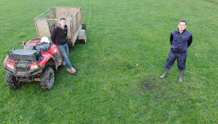 Continuing the Sheep Farming journey