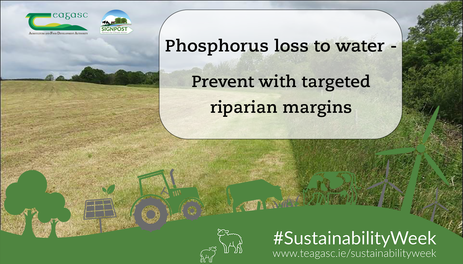 Phosphorus Loss to Water