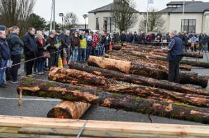 Teagasc announces post storm timber harvesting and marketing events