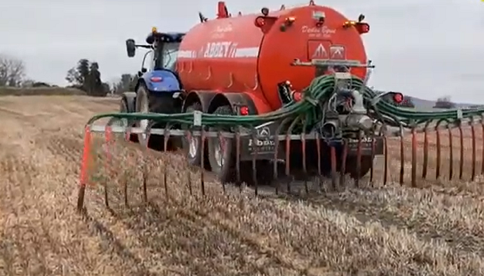 Pig slurry on tillage ground